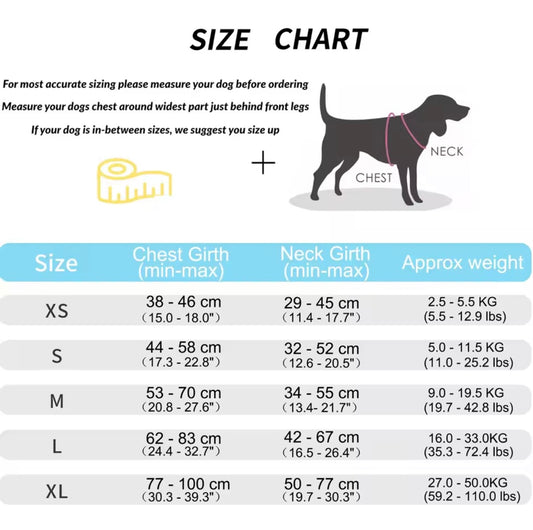 Personalisiertes Hundegeschirr Rot