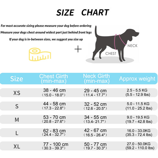 Personalisiertes Hundegeschirr Blau