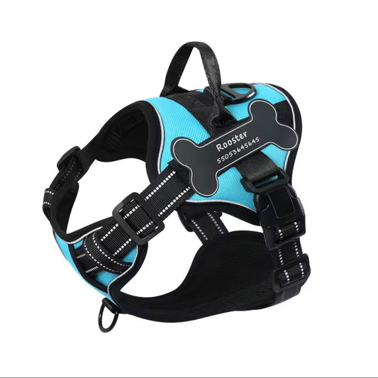 Personalisiertes Hundegeschirr Türkis